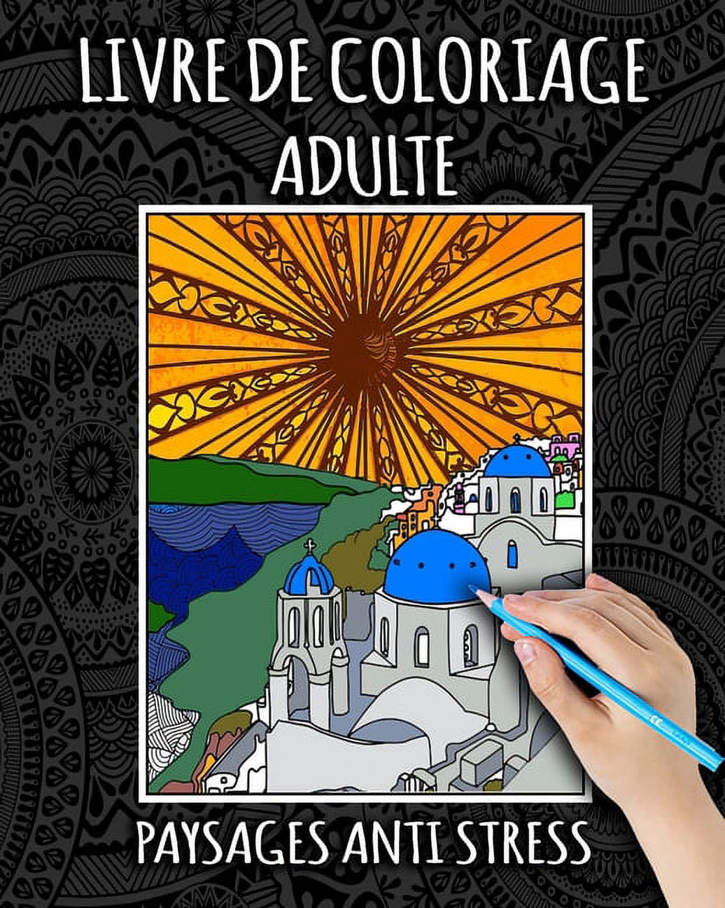 Voyage Zentangle Chez Soi: Livre De Coloriage Adulte: Paysages Anti Stress: Livre de Coloriage Adulte avec des Paysages, Mandalas, Fleurs, Animaux, Monuments, Nature, Femmes, Japon et Villes Zentangle