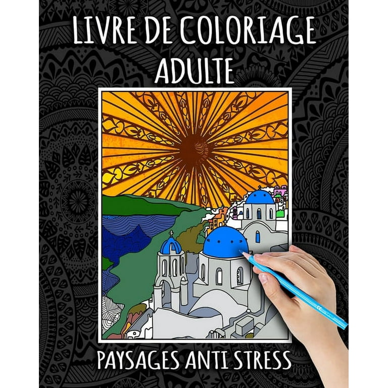 Voyage Zentangle Chez Soi: Livre De Coloriage Adulte: Paysages