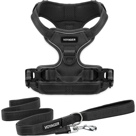 Voyager Dog Harness Dual Leash Attachment No-Pull Control Adjustable Soft by Strong Pet Harness for Medium and Large Dogs with 3M Reflective Technology with Leash Included - Black, S (Chest 22-27")
