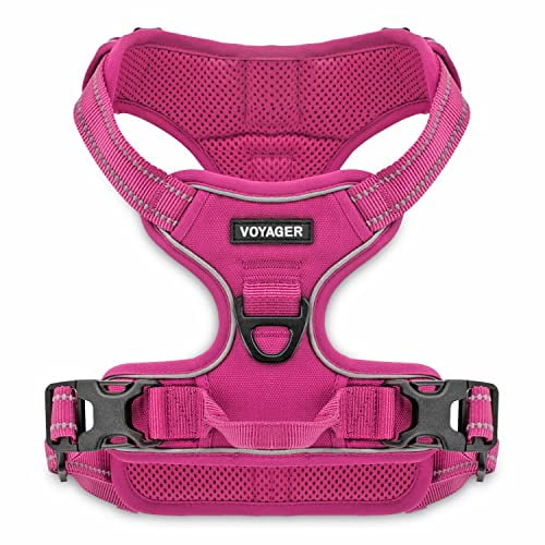 Voyager soft top harness for pets