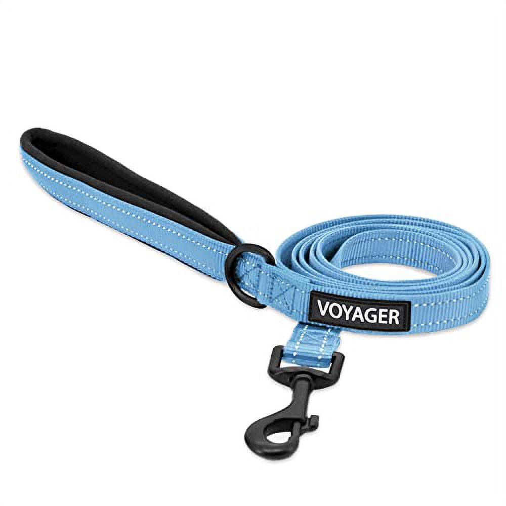 Voyager Reflective Dog Leash with Neoprene Handle, 5ft Long, Supports Small, Medium, and Large