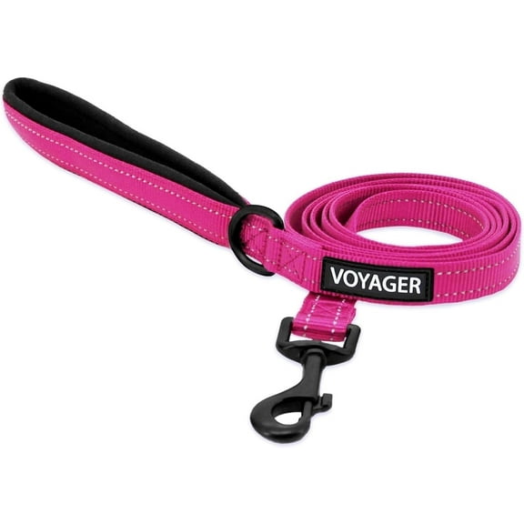 Voyager Reflective Dog Leash with Neoprene Handle, 5ft Long, Supports Small, Medium, and Large Breed Puppies, Cute and Heavy Duty for Walking, Running, and Training - Fuchsia, S