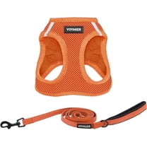 Voyager Step-In Air All Weather Mesh Harness & Reflective Dog Leash Combo w/ Neoprene Handle 5ft , For Small to Large Breed Dogs Cute & Heavy Duty, Best Pet Supplies- Orange Orange Trim, M