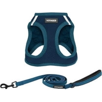 Voyager Step-In Air All Weather Mesh Harness & Reflective Dog Leash Combo w/ Neoprene Handle 5ft , For Small to Large Breed Dogs Cute & Heavy Duty, Best Pet Supplies- Blue Blue Trim, M