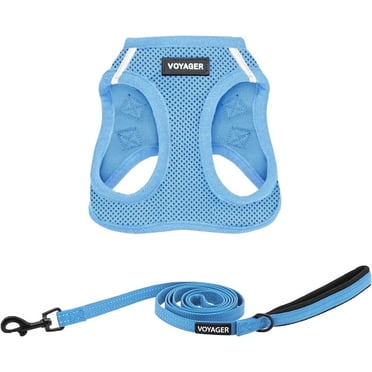 Voyager Step-In Air All Weather Mesh Harness & Reflective Dog Leash Combo w/ Neoprene Handle 5ft , For Small to Large Breed Dogs Cute & Heavy Duty, Best Pet Supplies- Baby Blue Blue Trim, M