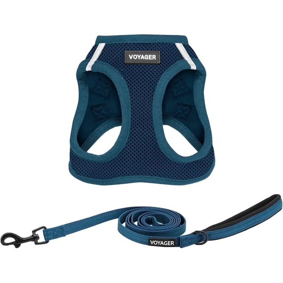 Voyager Step-In Air All Weather Mesh Harness & Reflective Dog Leash Combo w/ Neoprene Handle 5ft , For Small to Large Breed Dogs Cute & Heavy Duty, Best Pet Supplies- Blue Blue Trim, XS