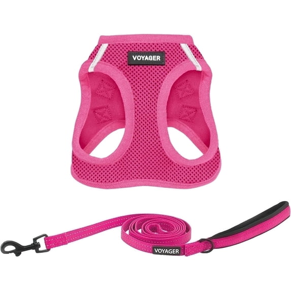 Voyager Step-In Air All Weather Mesh Harness & Reflective Dog Leash Combo w/ Neoprene Handle 5ft , For Small to Large Breed Dogs Cute & Heavy Duty, Best Pet Supplies- Fuchsia Fuchsia Trim, S