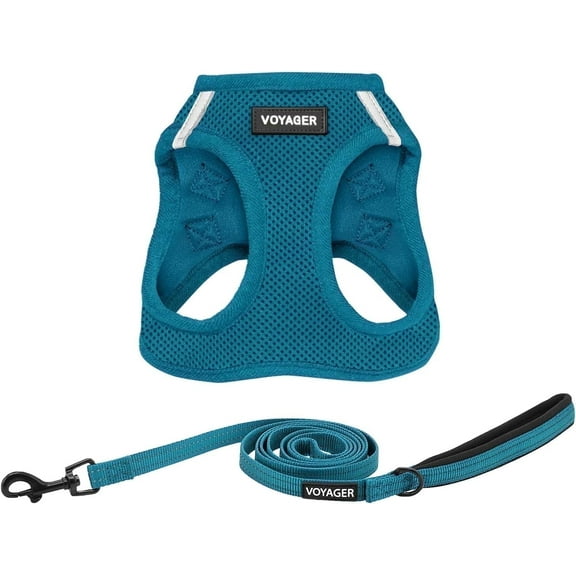Voyager Step-In Air All Weather Mesh Harness & Reflective Dog Leash Combo w/ Neoprene Handle 5ft , For Small to Large Breed Dogs Cute & Heavy Duty, Best Pet Supplies- Turquoise Turquoise Trim, S