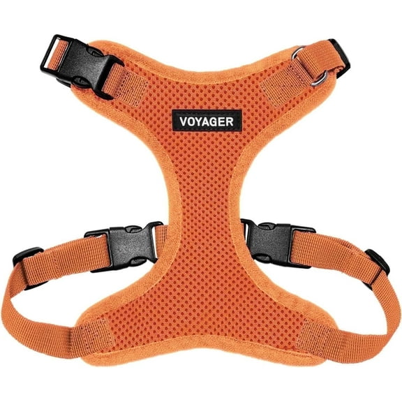 Voyager Step-In Lock Cat Harness - Adjustable Step-In Vest Harness for Small and Large Cats by Best Pet Supplies