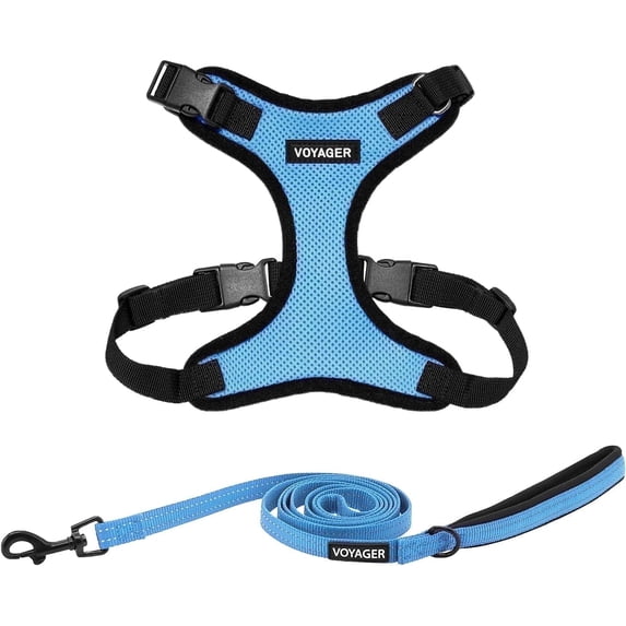 Voyager Step-In Lock Dog Harness & Reflective Leash Set w/ Neoprene Handle 6ft - For Small to Large Breed Dogs/ Cats, Cute & Heavy-Duty for Walking, Running & Training - Baby Blue Black Trim, L