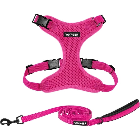 Voyager Step-In Lock Dog Harness & Reflective Leash Set w/ Neoprene Handle 6ft - For Small to Large Breed Dogs/ Cats, Cute & Heavy-Duty for Walking, Running & Training - Fuchsia Fuchsia Trim, XXXS