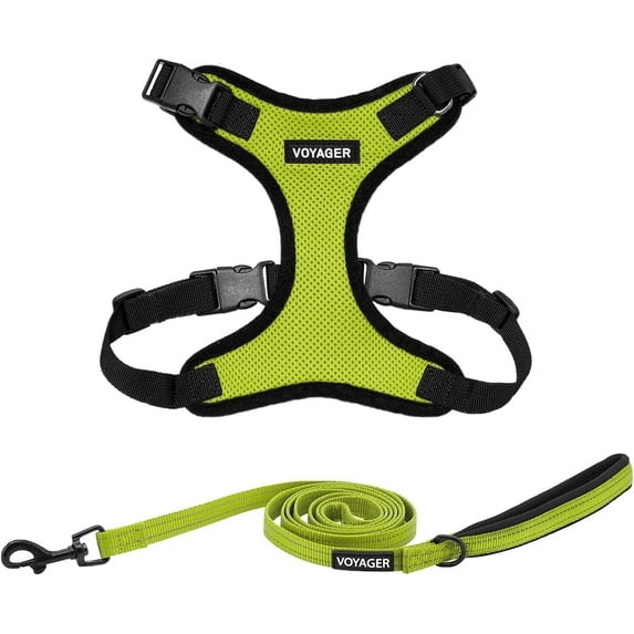 Voyager Step-In Lock Dog Harness & Reflective Leash Set w/ Neoprene Handle 6ft - For Small to Large Breed Dogs/ Cats, Cute & Heavy-Duty for Walking, Running & Training - Lime Green Black Trim, XS