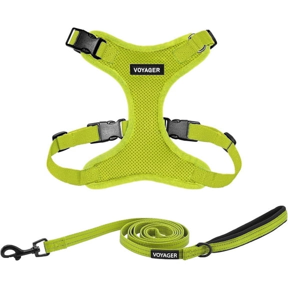 Voyager Step-In Lock Dog Harness & Reflective Leash Set w/ Neoprene Handle 6ft - For Small to Large Breed Dogs/ Cats, Cute & Heavy-Duty for Walking, Running & Training - Lime Green Lime Green Trim, S