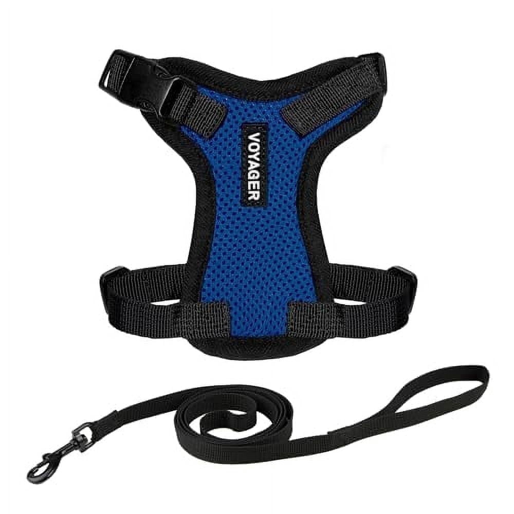 Voyager Step-In Lock Pet Harness - All Weather Mesh, Adjustable Step In Harness for Cats and Dogs by Best Pet Supplies - Royal Blue/Black Trim, XXXS