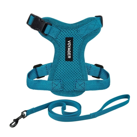 Voyager Step-In Lock Pet Harness - All Weather Mesh, Adjustable Step In Harness for Cats and Dogs by Best Pet Supplies - Turquoise, XXXS