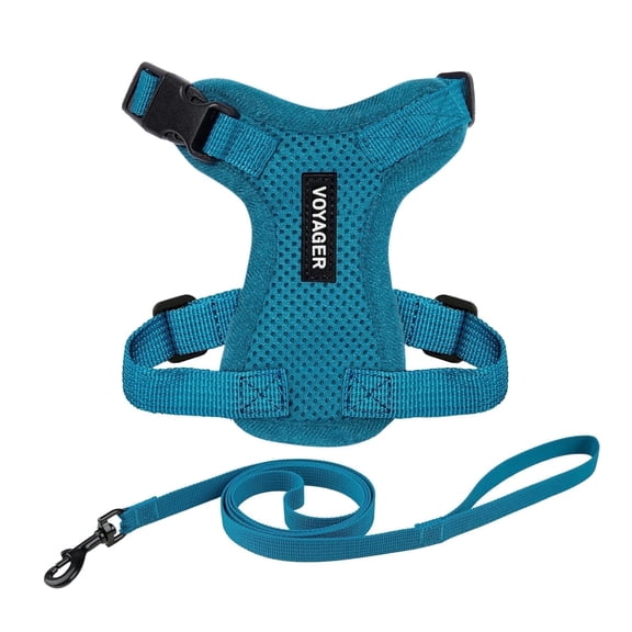 Voyager Step-In Lock Pet Harness - All Weather Mesh, Adjustable Step In Harness for Cats and Dogs by Best Pet Supplies - Turquoise, XXXS