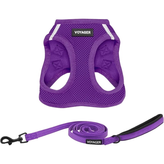 Voyager Step-In Air All Weather Mesh Harness & Reflective Dog Leash Combo w/ Neoprene Handle 5ft , For Small to Large Breed Dogs Cute & Heavy Duty, Best Pet Supplies- Purple Purple Trim, XXS