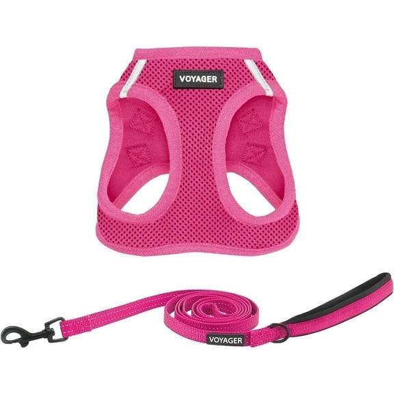 Voyager Step-in Air Cat Harness - All Weather Mesh Step in Vest Harness for Small and Medium Cats - Set (Fuchsia), XXXS