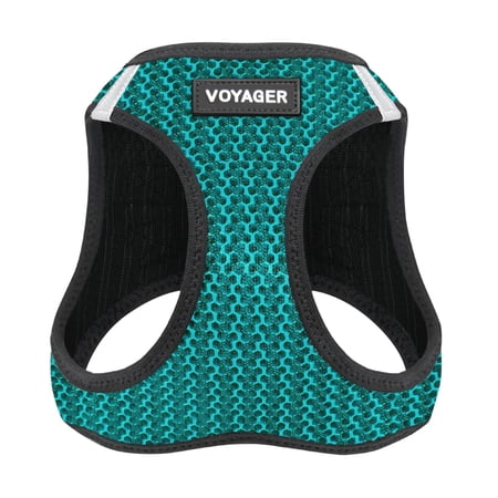 Voyager Step-in Air Dog Harness - All Weather Mesh Step in Vest Harness for Small and Medium Dogs and Cats - Harness (Turquoise 2-Tone), L (Chest: 18-20.5")