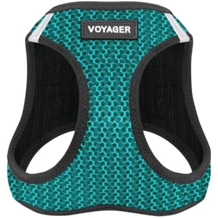 Voyager Step-in Air Dog Harness - All Weather Mesh Step in Vest Harness for Small and Medium Dogs and Cats - Harness (Turquoise 2-Tone), L (Chest: 18-20.5")