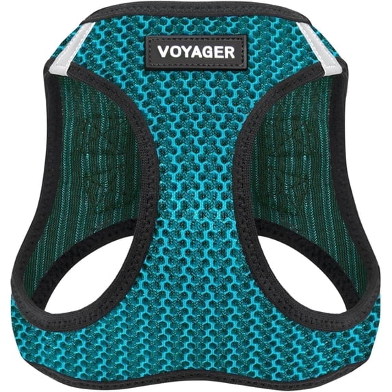 Voyager Step-in Air Dog Harness - All Weather Mesh Step in Vest Harness for Small and Medium Dogs and Cats - Harness (Turquoise 2-Tone), S (Chest: 14.5-16")