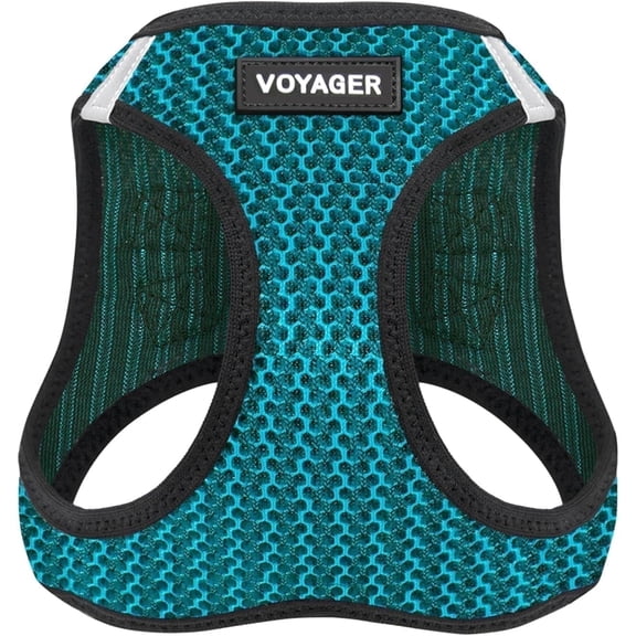 Voyager Step-in Air Dog Harness - All Weather Mesh Step in Vest Harness for Small and Medium Dogs and Cats - Harness (Turquoise 2-Tone), S (Chest: 14.5-16")