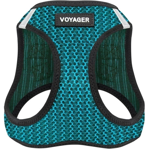 Voyager Step-in Air Dog Harness - All Weather Mesh Step in Vest Harness for Small and Medium Dogs and Cats - Harness (Turquoise 2-Tone), XS (Chest: 13-14.5")
