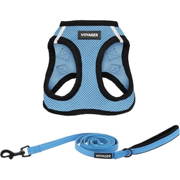 Voyager Step-in Air All Weather Mesh Harness and Reflective Dog 5 ft Leash Combo with Neoprene Handle, for Small, Medium and Large Breed Puppies - Baby Blue/Black Trim, Medium