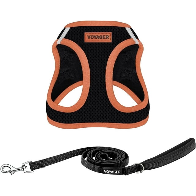 Voyager Step-in Air All Weather Mesh Harness and Reflective Dog 5 ft Leash Combo with Neoprene Handle, for Small, Medium and Large Breed Puppies - Black/Orange Trim, X-Large