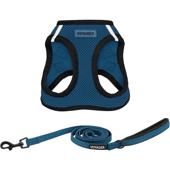 Voyager Step-in Air All Weather Mesh Harness and Reflective Dog 5 ft Leash Combo with Neoprene Handle, for Small, Medium and Large Breed Puppies - Blue/Black Trim, X-Small