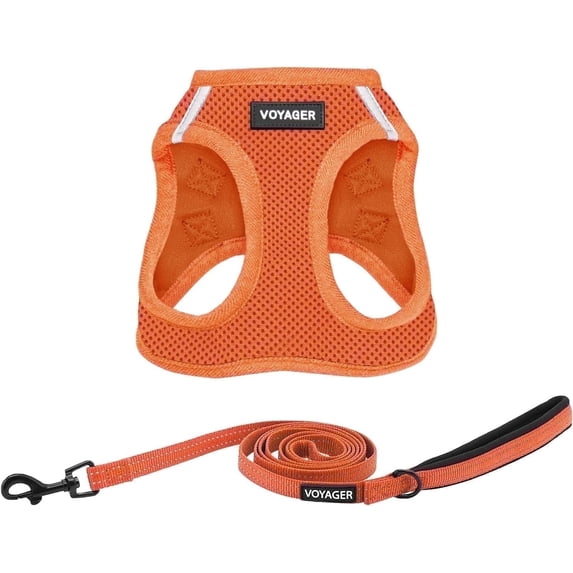Voyager Step-in Air All Weather Mesh Harness and Reflective Dog 5 ft Leash Combo with Neoprene Handle, for Small, Medium and Large Breed Puppies by Best Pet Supplies - Harness Leash Set (Orange), XS