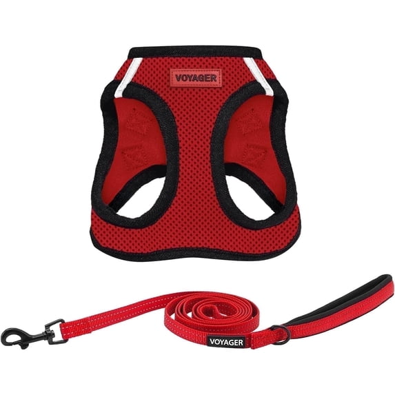 Voyager Step-in Air All Weather Mesh Harness and Reflective Dog 5 ft Leash Combo with Neoprene Handle, for Small, Medium and Large Breed Puppies - Red/Black Trim, XX-Small