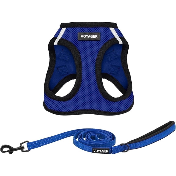 Voyager Step-in Air All Weather Mesh Harness and Reflective Dog 5 ft Leash Combo with Neoprene Handle, for Small, Medium and Large Breed Puppies - Royal Blue/Black Trim, Small