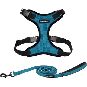 Voyager Step-In Lock Dog Harness & Reflective Leash Set w/ Neoprene Handle 6ft - For Small to Large Breed Dogs/ Cats, Cute & Heavy-Duty for Walking, Running & Training - Turquoise Black Trim, XXS
