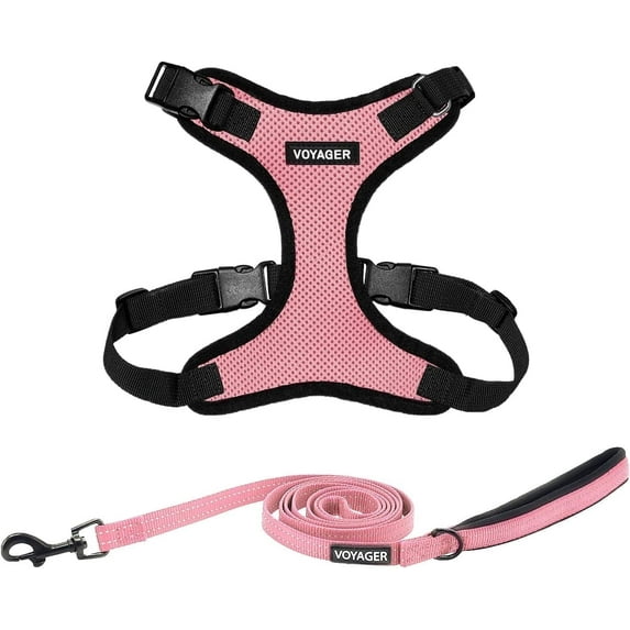 Voyager Step-In Lock Dog Harness & Reflective Leash Set w/ Neoprene Handle 6ft - For Small to Large Breed Dogs/ Cats, Cute & Heavy-Duty for Walking, Running & Training - Pink Black Trim, XXXS