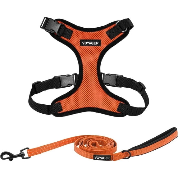 Voyager Step-In Lock Dog Harness & Reflective Leash Set w/ Neoprene Handle 6ft - For Small to Large Breed Dogs/ Cats, Cute & Heavy-Duty for Walking, Running & Training - Orange Black Trim, S