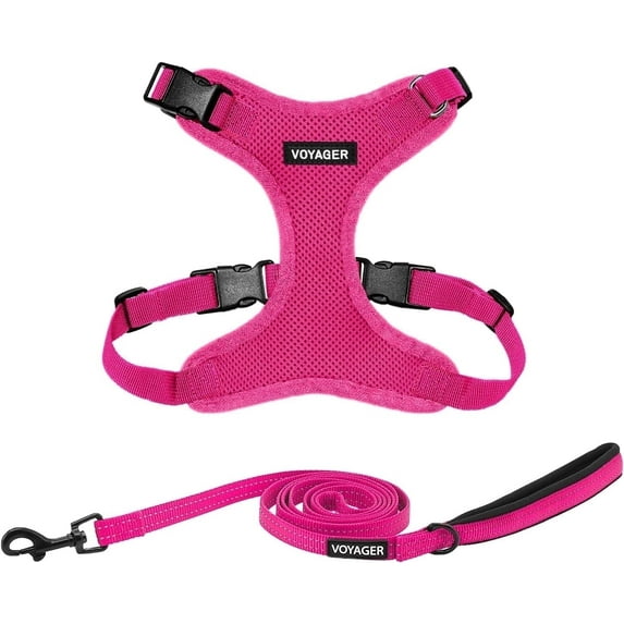 Voyager Step-In Lock Dog Harness & Reflective Leash Set w/ Neoprene Handle 6ft - For Small to Large Breed Dogs/ Cats, Cute & Heavy-Duty for Walking, Running & Training - Fuchsia Fuchsia Trim, XXXS