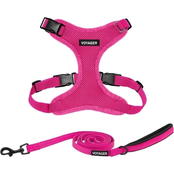 Voyager Step-In Lock Dog Harness & Reflective Leash Set w/ Neoprene Handle 6ft - For Small to Large Breed Dogs/ Cats, Cute & Heavy-Duty for Walking, Running & Training - Fuchsia Fuchsia Trim, XL
