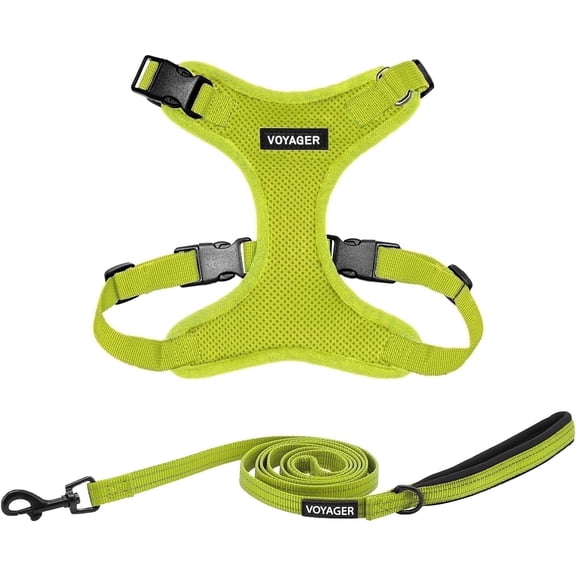 Voyager Step-in Lock Dog Harness w\ Reflective Dog Leash Combo Set with Neoprene Handle 5ft - Supports Small, Medium and Large Breed Puppies/Cats by Best Pet Supplies - Lime Green, XXXS