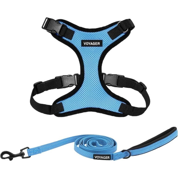 Voyager Step-In Lock Dog Harness & Reflective Leash Set w/ Neoprene Handle 6ft - For Small to Large Breed Dogs/ Cats, Cute & Heavy-Duty for Walking, Running & Training - Baby Blue Black Trim, XL