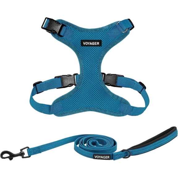 Voyager Step-In Lock Dog Harness & Reflective Leash Set w/ Neoprene Handle 6ft - For Small to Large Breed Dogs/ Cats Cute & Heavy-Duty for Walking Running & Training - Turquoise Turquoise Trim XXXS
