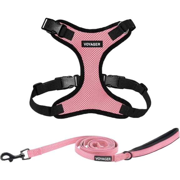 Voyager Step-In Lock Dog Harness & Reflective Leash Set w/ Neoprene Handle 6ft - For Small to Large Breed Dogs/ Cats, Cute & Heavy-Duty for Walking, Running & Training - Pink Black Trim, XXXS