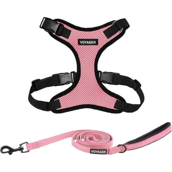 Voyager Step-In Lock Dog Harness & Reflective Leash Set w/ Neoprene Handle 6ft - For Small to Large Breed Dogs/ Cats, Cute & Heavy-Duty for Walking, Running & Training - Pink Black Trim, S