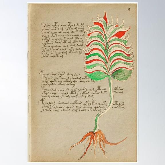 Voynich Manuscript Poster Wall Art, Modern Wall Decor For Living Room Bedroom, 8x12 UNFRAMED