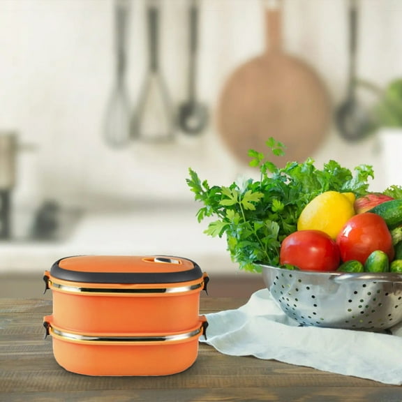 Vrorvz Microwave Safe Insulated Rectangular Lunch Box with Secure Buckle Design and Removable Partition for Students Long Lasting Leak-Proof Portable Food Container for Easy Carrying