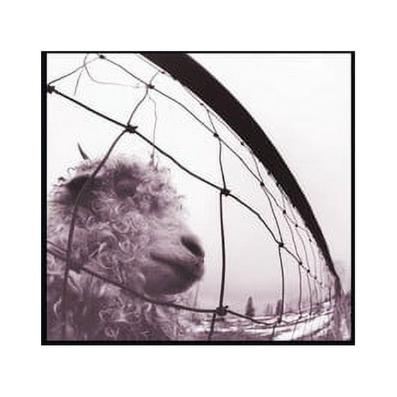 Vs. and Vitalogy 3 Cd Deluxe Edition: Featuring Live At The Orpheum, Boston MA (CD)