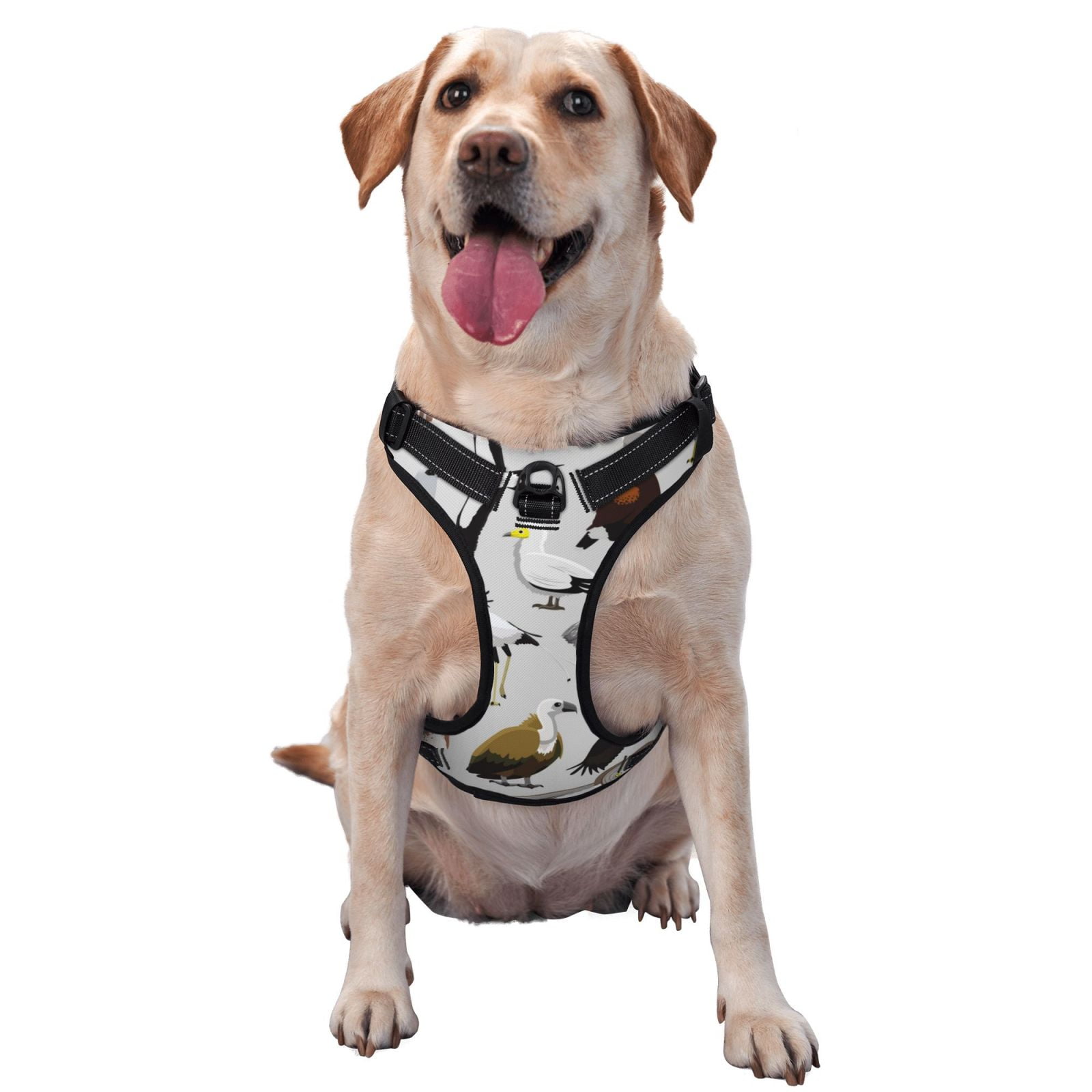 Vsdgher Animal Bird Dog Harness, No-Pull Pet Harness, Dog Vest, Pet Vest for Small to Large Dogs-Large