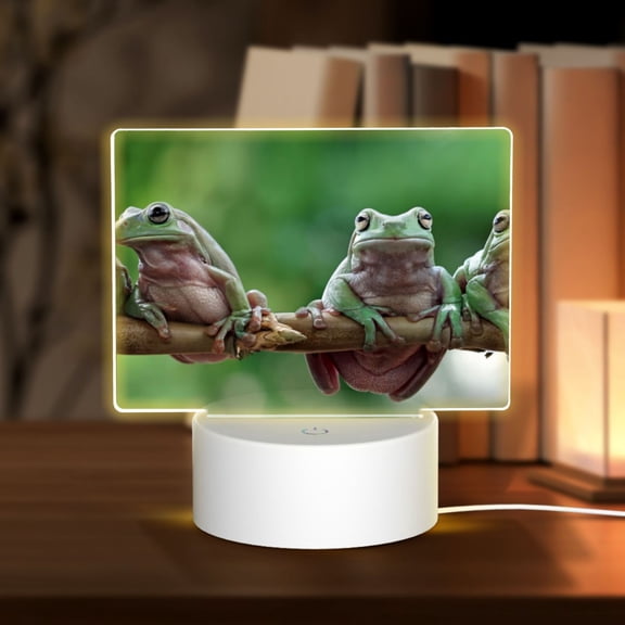 Vsdgher Australian White Tree Frog Sitting on Branch Rectangular Acrylic Night Light Acrylic Sleep Night Light Friend Gifts for Birthday Gifts for Women Teens Boys Girls