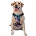 thumbnail image 1 of Vsdgher Beautiful Flower Blue Bird Pattern Dog Harness,No Pull Pet Harness with Soft Padded Handle,Adjustable Reflective Vest with 2 Buckles,4 Slide Buckles,S-XL Medium, 1 of 4