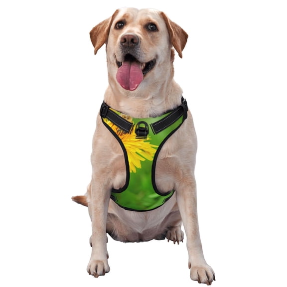 Vsdgher Bees Pollinates A Yellow Dandelion Dog Harness, No-Pull Pet Harness, Dog Vest, Pet Vest for Small to Large Dogs-Large